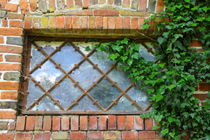 Verrostetes Fenster mit Efeu umrankt von Steffani Lehmann