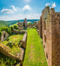 Burgruine Montfort (2) by Erhard Hess