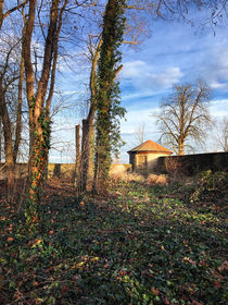 Wiesentheider Parkimpression von Ingo Menhard