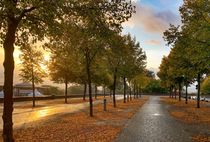 Herbst in Kassel von Jörg Conrad