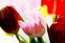 Tulpen in Form und Farbe von Petra Dreiling-Schewe