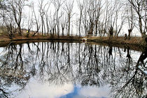 Teich im Winter by markart