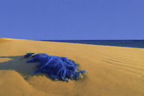 Discarded Fishing Net On Beach von Robert Deering