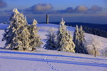 Winter auf dem Feldberg im Schwarzwald by Patrick Lohmüller