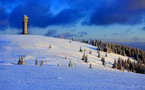 Winter auf dem Feldberg im Schwarzwald von Patrick Lohmüller