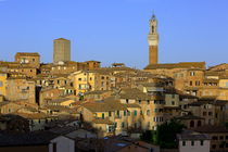 Siena Altstadt von Patrick Lohmüller