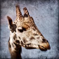 Retro Giraffe von kattobello