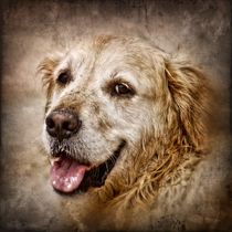 Retro Golden Retriever Lachen by kattobello