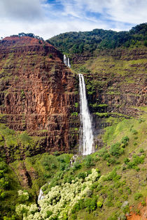 Waipoo Falls by Dirk Rüter