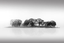 Esthwaite Water Monochrome Lake District Cumbria by Robert Deering