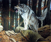 Wolf im Herbst von winter-frost-artwork