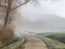 Morgenruhe von Michael Schulz-Dostal