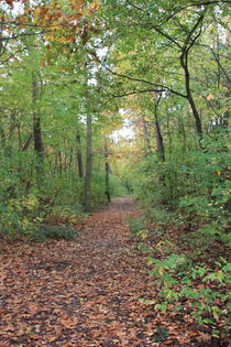 Waldweg by Gerda Hutt