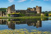 The Towers Of Caerphilly Castle von Ian Lewis