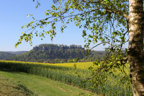 Der Lilienstein in der Sächsischen Schweiz by Karina Baumgart