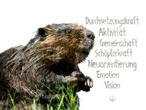 Krafttier Biber - Baumeister aus Visionen by Astrid Ryzek