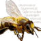 Biene-werte-wandbild