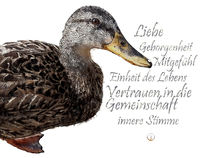 Krafttier Ente - Vertrauen in die Gemeinschaft by Astrid Ryzek