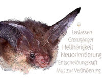 Krafttier Fledermaus - Wächter der Nacht von Astrid Ryzek