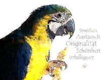Krafttier Papagei - Königin des Austausches von Astrid Ryzek