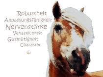 Krafttier Haflinger - robust und genügsam by Astrid Ryzek