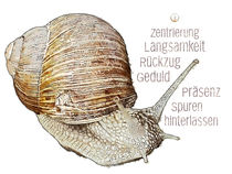 Krafttier Schnecke - Hinterlasse Spuren von Astrid Ryzek