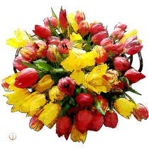 Strauß Tulpen in Gelb und Rot by Astrid Ryzek