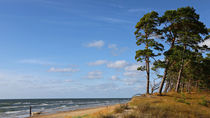 Ostseeküste by Rolf Müller