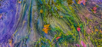 Algen im Wasser by Andrea Meister