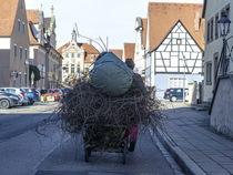 Heimweg by Harald Schottner