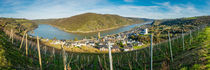 Oberwesel (3.4) by Erhard Hess