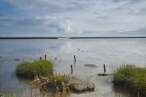 Wattenmeer von Rolf Müller