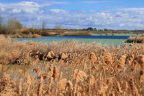 Natural area of Lake Ivars and Vilasana by JOMA GARCIA I GISBERT