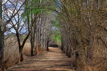 Natural area of Lake Ivars and Vilasana by JOMA GARCIA I GISBERT