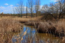 Nature area of Lake Ivars and Vilasana von JOMA GARCIA I GISBERT