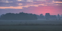 Der Sonnenaufgang von Rolf Müller