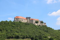 Schloss Neuenburg von alsterimages