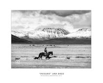 Patagonia - Paisano and Dogs - Patagonia landscape by ALEJANDRO SALA