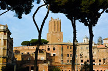 Forum Roman in Rome von captainsilva