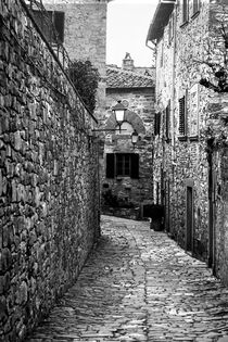 Medieval narrow cobblestone street by Marie Selissky