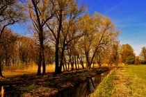 Landscape with golden trees along a ditch by Maud de Vries