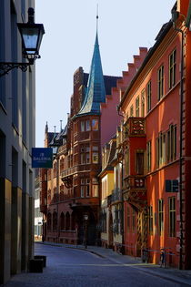 Haus zum Walfisch Freiburg by Patrick Lohmüller