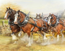 Clydesdales in Harness by Trudi Simmonds