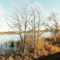 Spaziergang am Fluss  von on-the-road