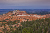 Rock towers Hoodoo in National Park Bryce Canyon, USA by Bastian Linder