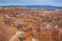 Rock towers Hoodoo in National Park Bryce Canyon, USA by Bastian Linder