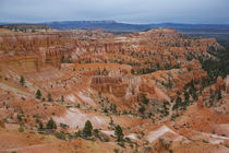 Rock towers Hoodoo in National Park Bryce Canyon, USA by Bastian Linder