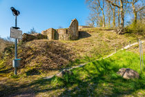 Burg Pfarrköpfchen 74 von Erhard Hess