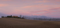 Cypress road and farmhouse Agriturismo Poggio Covili during sunset, Tuscany Italy by Bastian Linder