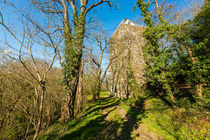 Burg Sponheim-Wohnturm 36 von Erhard Hess